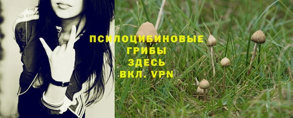 спайс Ельня