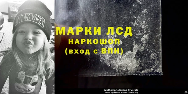 спайс Ельня